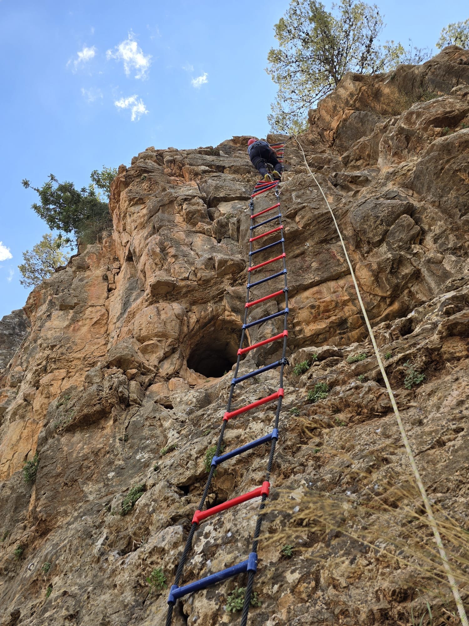 פארק חבלים - תמונה 8