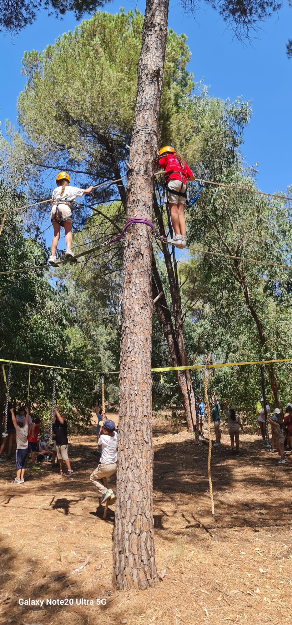 פארק חבלים - תמונה 36