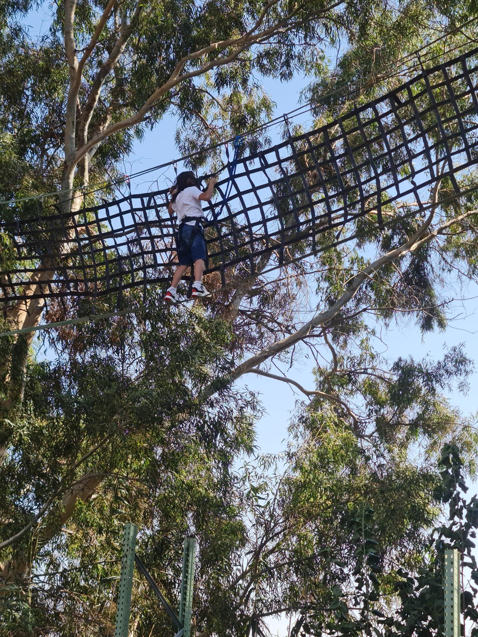 פארק חבלים - תמונה 23